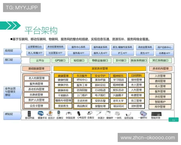 平台运营机制注重社区培育，强化网络效应