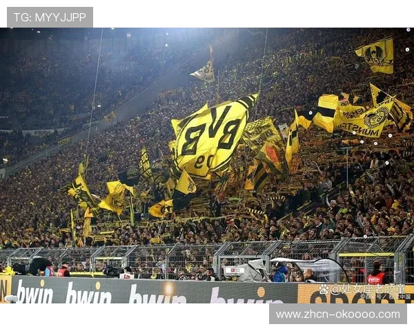 德甲纪录片获国际奖项，聚焦球迷文化获好评