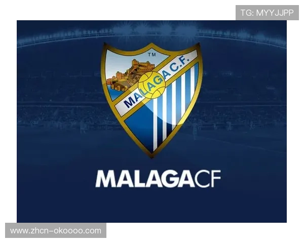 西甲出台多项新规则，2026-27赛季起股东可专项注资青训发展